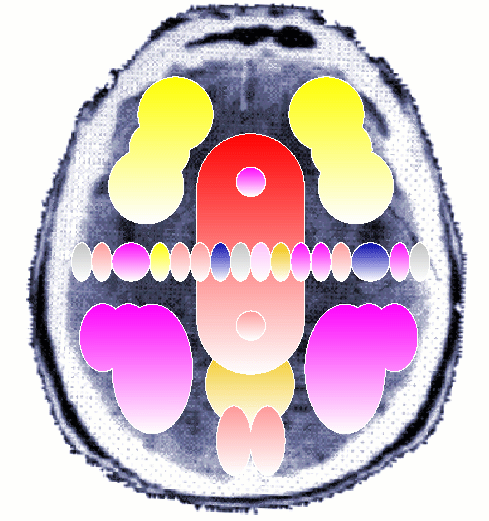 Aura Analysis Brain